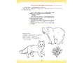 Рабочая тетрадь "Развитие слухового внимания и слуховой памяти". Старшая группа (5-6 лет) ФГОС