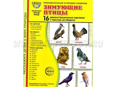 Демонстрационные картинки СУПЕР. Зимующие птицы (16 шт.) в папке