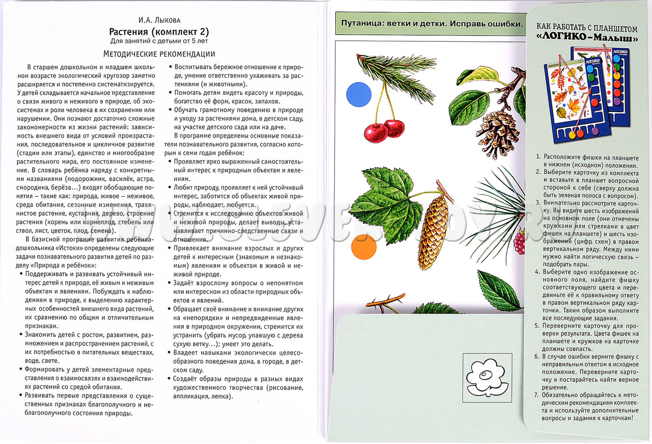ЛОГИКО-Малыш. Мир природы. Растения, ч.2 (набор карточек для планшета)  ЛМ-004 в Нижнем Новгороде | CLEVER-TOY.RU