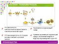 Радужные камешки Eco (36 штук 3 форм, 6 цветов +8 двухсторонних карточек)
